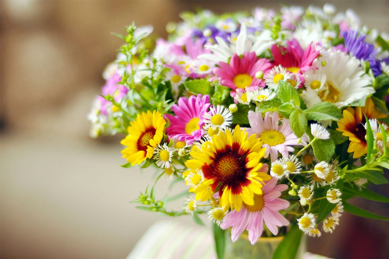 Quali sono le tendenze di design d'interni che vedremo nel 2022?